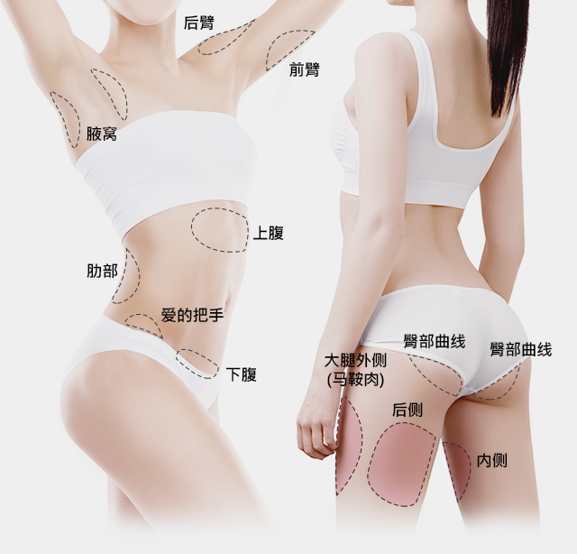 大腿
