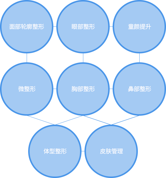面部轮廓整形, 眼部整形, 童颜提升, 微整形, 胸部整形, 鼻部整形, 体型整形, 皮肤管理